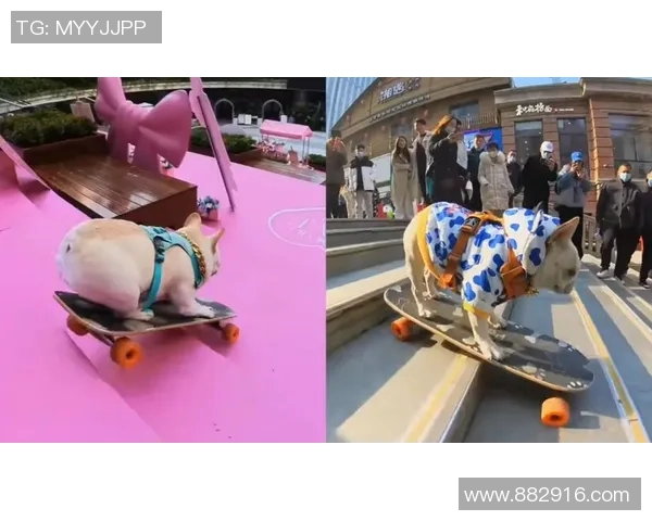 武汉滑板队运营经验分享与反思探讨滑板文化发展的未来方向